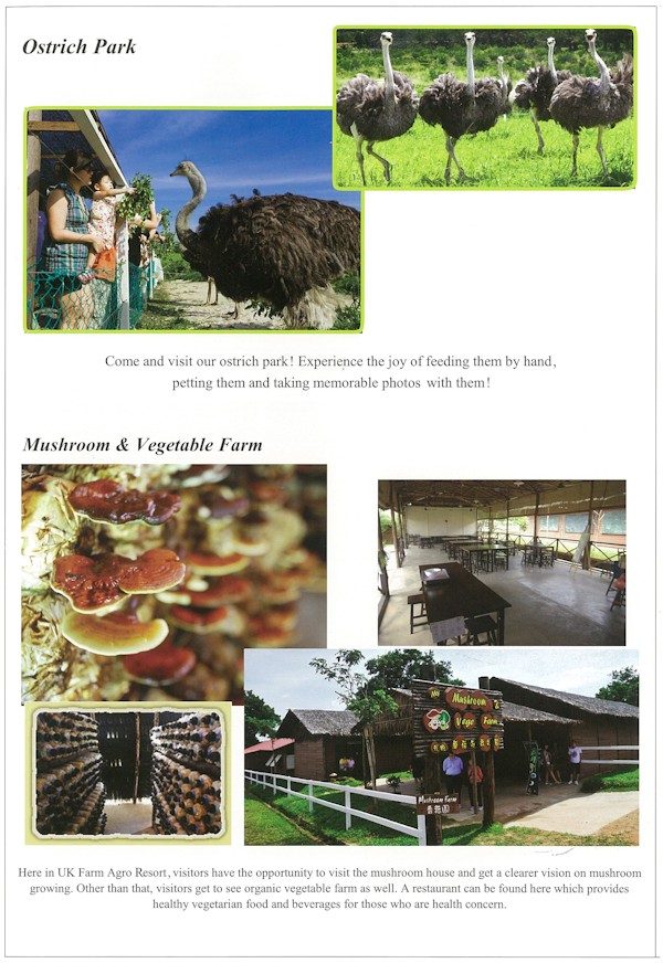 Ostrich Park