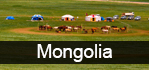 Mongolia Tours