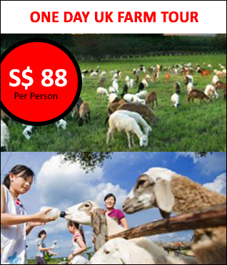 ukfarm